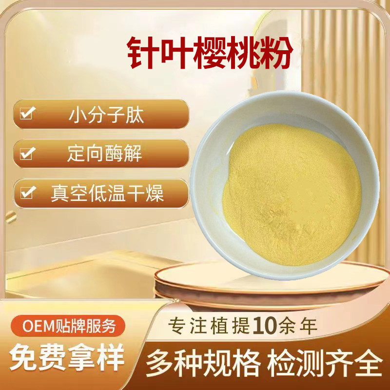 针叶樱桃粉 饮品食品原料樱桃果浓缩料