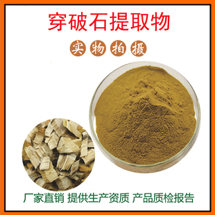 穿破石提取物30:1 穿破石粉 穿破石多糖 量大从优 资质齐全 包邮