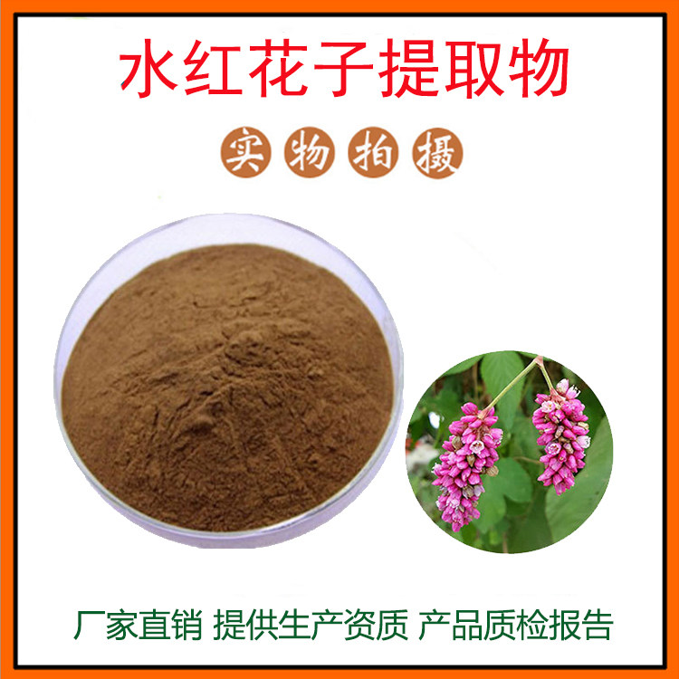 水红花子提取物30:1水红花子粉 水溶性佳 量大从优 资质齐全 包邮