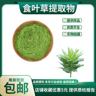 食叶草提取物30:1食叶草粉 水溶性食叶草粉固饮料 新食品原料包邮