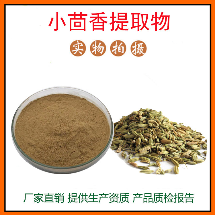 小茴香提取物30:1 小茴香粉 茴香籽提取物 量大从优 现货包邮