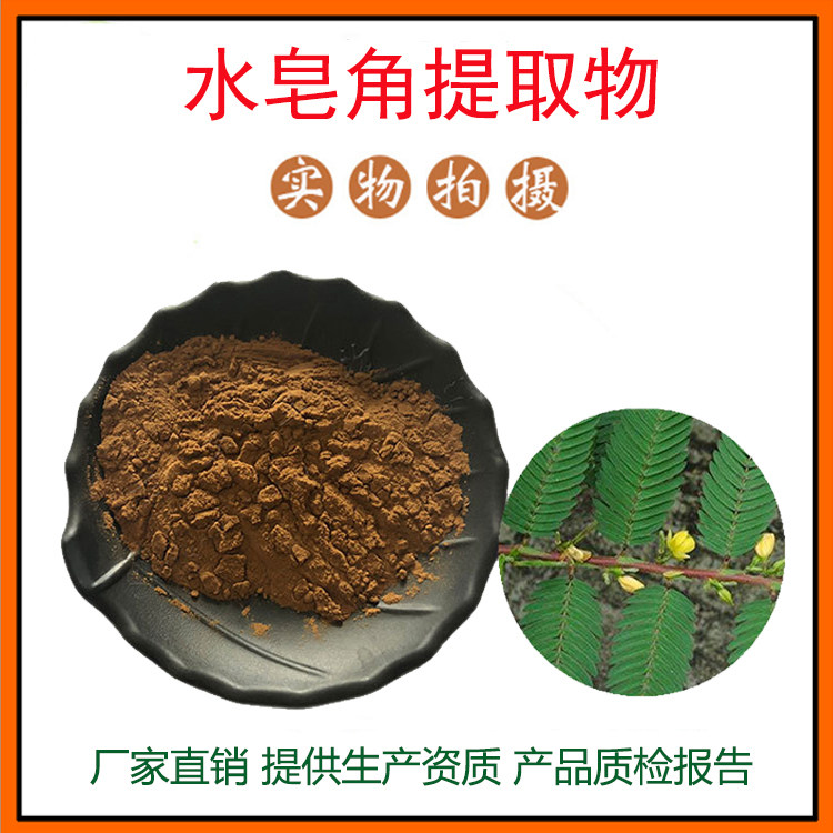 水皂角提取物30:1 水皂角皂苷粉  量大从优  资质齐全 现货包邮
