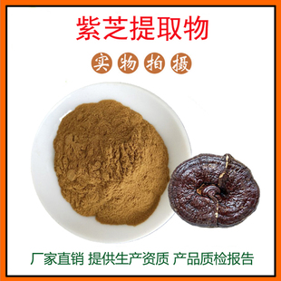 紫芝提取物30:1 紫芝粉 木芝/黑芝粉 玄芝多糖 量大从优 现货包邮