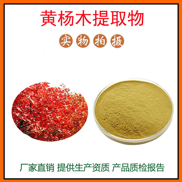 黄杨木提取物30:1黄栌提取物 漆黄素 量大从优 资质齐全 现货包邮
