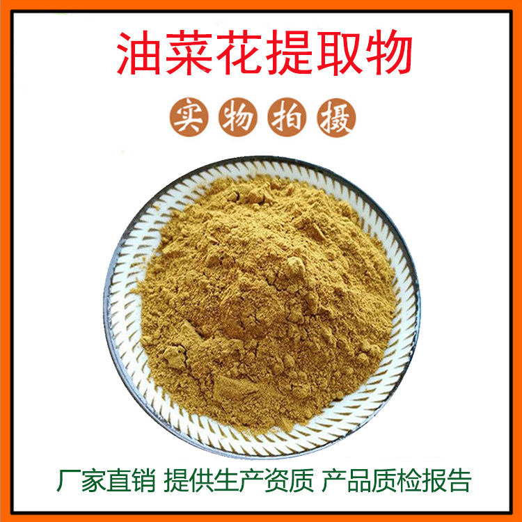 破壁油菜花提取物30:1 油菜花粉 油菜花多糖 量大从优 现货包邮