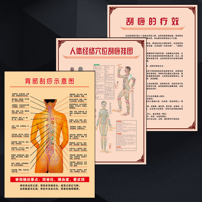 刮痧人体中医海报脉络wsa宣传画对照图挂图穴位示意图背部经络