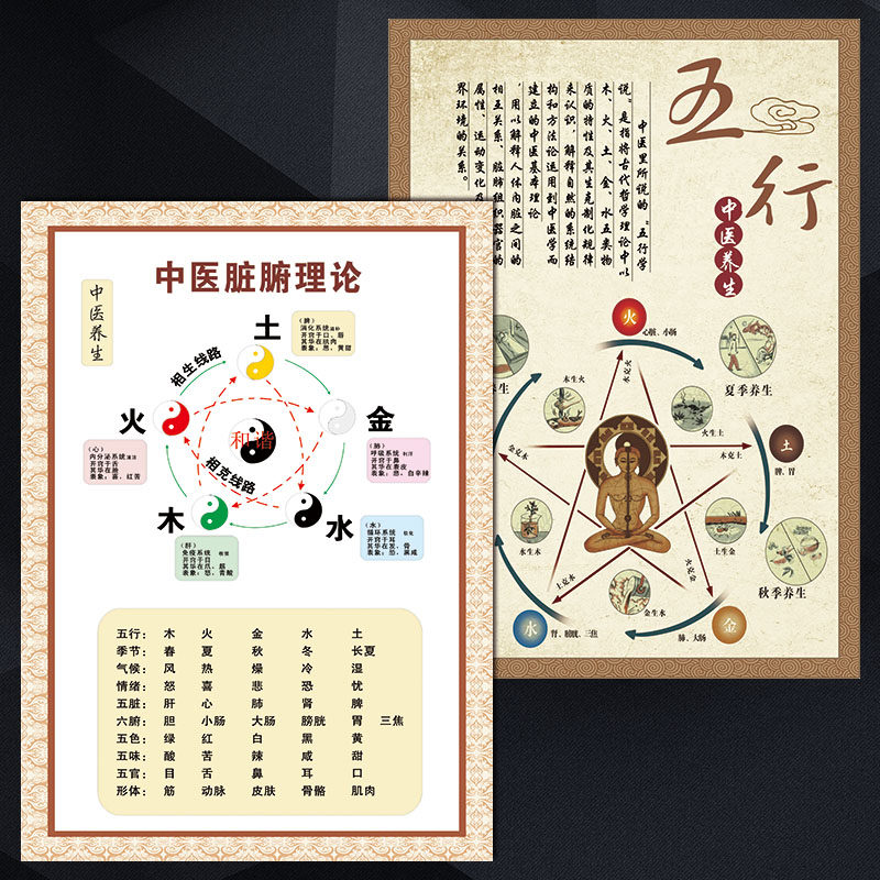 宣传画脏腑金木水火土wsa养生中医五行四季挂图中医中医贴画理论
