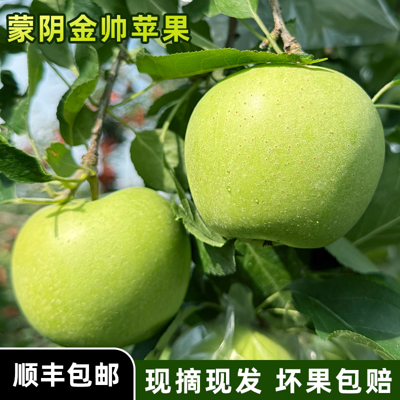 山东蒙阴金帅青苹果酸甜苹果新鲜