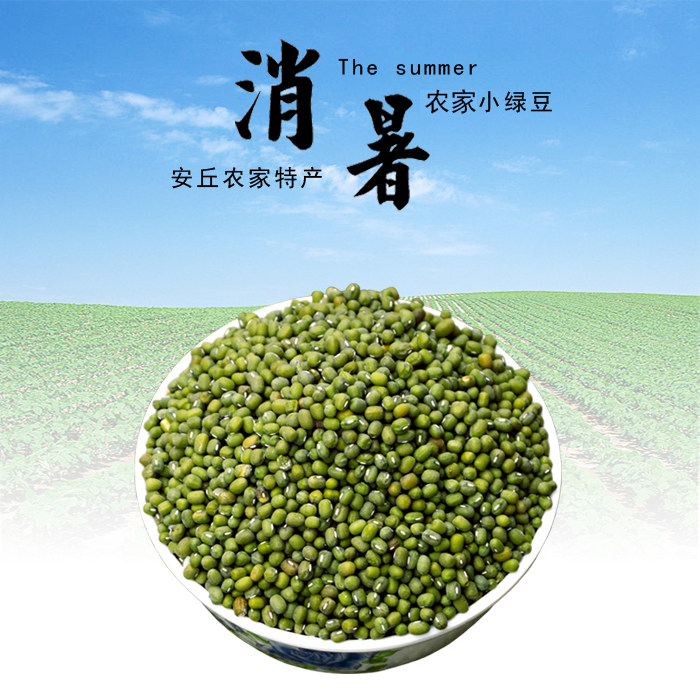 山东安丘小绿豆 农家自种土绿豆 粗粮笨绿豆 绿豆芽原材料