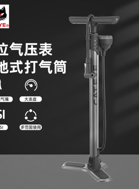 CATEYE猫眼高压打气筒自行车新型汽车电动电瓶摩托车篮球家用通用