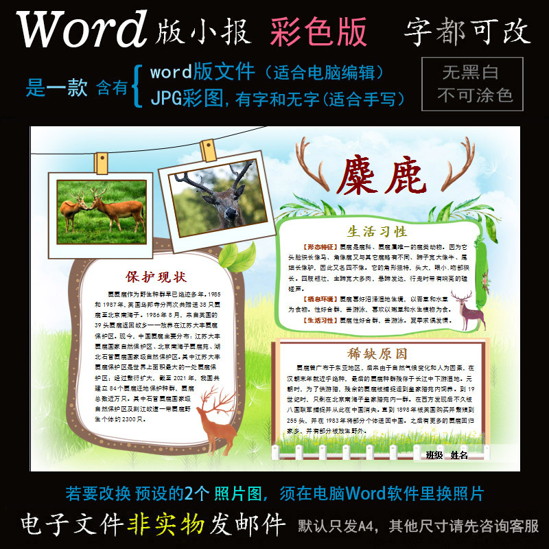 d050麋鹿电子小报word模版电脑手抄报保护珍稀动物简报