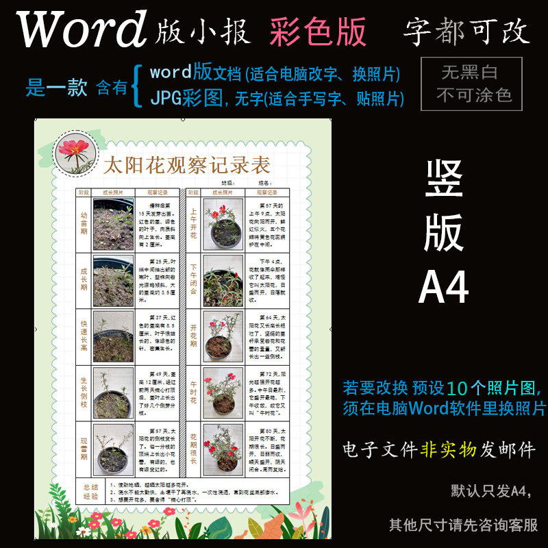 Z156太阳花生长记小报电子版word模板电脑手抄报植物成长表格竖版高性价比高么？