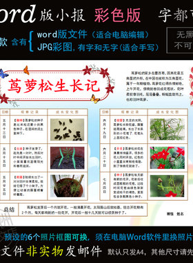 z141五角星花生长电子小报word模板电脑手抄报花卉植物茑萝松成长