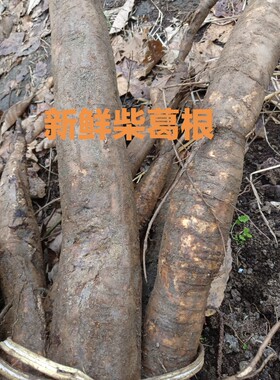 柴葛根 中药材葛根 新鲜柴葛根柴葛老葛根葛根现挖现发
