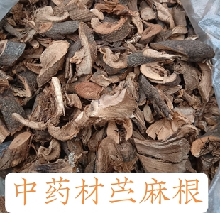 现挖新鲜苎麻根 中药材 自然晒干苎麻根 野麻 白麻