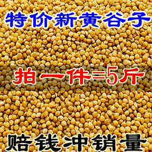 新黄谷子带壳小米虎皮牡丹玄凤中小型鹦鹉文鸟鸟粮鸟食鸟饲料5斤