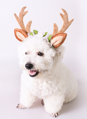 宠物头饰圣诞外出发箍中小型犬泰迪比熊可爱发夹猫咪狗狗鹿角头饰