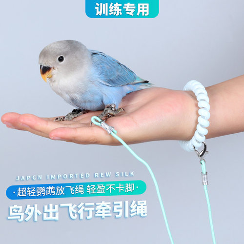 鹦鹉放飞绳不伤脚超轻训练绳虎皮玄凤牡丹脚环脚链脖套遛鸟飞行绳