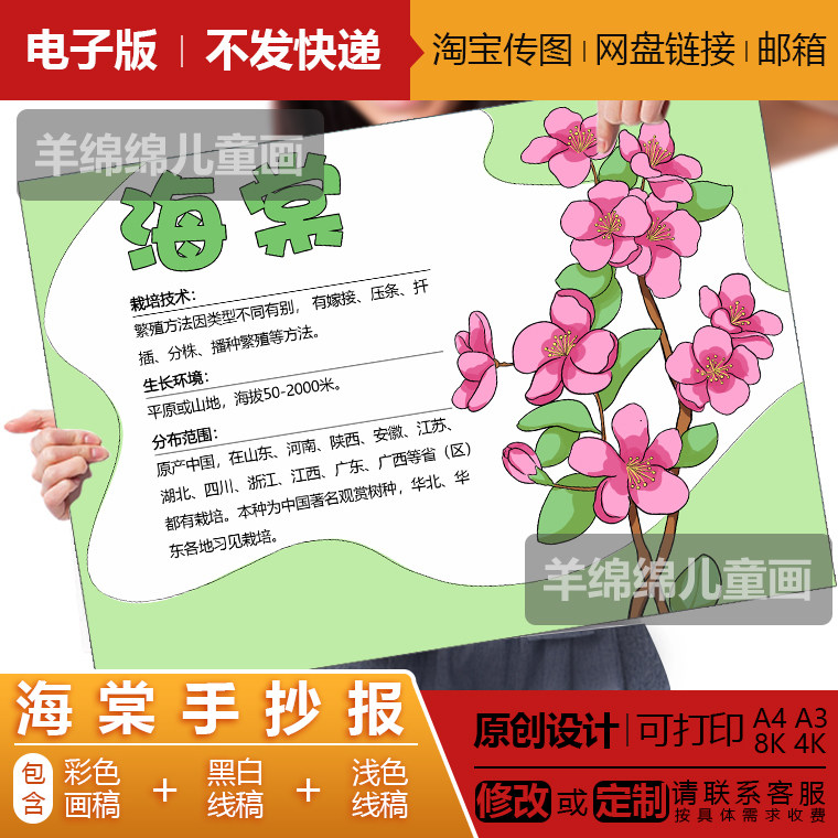 海棠花手抄报模板电子版黑白线稿打印涂色春天植物记录卡小报绘画