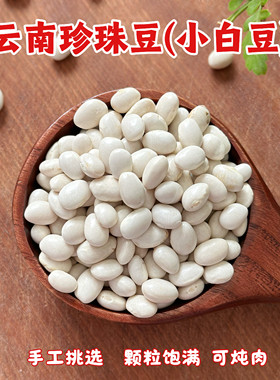 云南小白豆珍珠豆小芸豆小白豆炖菜煲汤蛋子豆打豆浆炖肉豆类杂粮