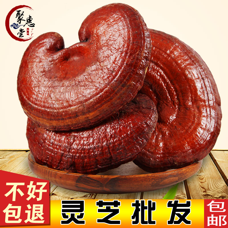 灵芝正品长白山紫灵芝野生灵芝片赤林芝茶可切片打粉干货包邮