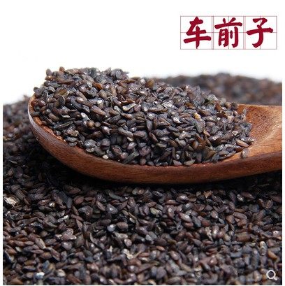 中药材车前子车钱子车前草籽 车前实 种子茶500克2件包邮