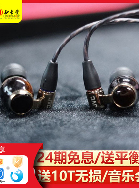JVC/杰伟世 FW10000 FWW耳机入耳式HIFI木振膜发烧级旗舰有线耳塞