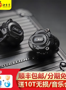 Acoustune HSX1001蓝牙耳机LDAC无线TWS动圈可换C03模块M02G单元