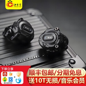 Acoustune HSX1001蓝牙耳机LDAC无线TWS动圈可换C03模块M02G单元