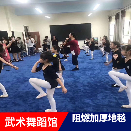 武术馆地毯 家用卧室不扎脚 会议室商用10-12mm加厚阻燃绒毛地毯