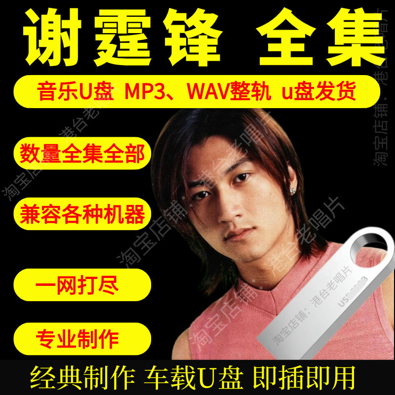 谢霆锋车载音乐U盘出道至今全集专辑高品质MP3经典老歌真无损音质图片