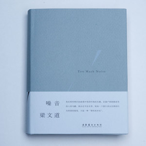 理想国正版现货 噪音（梁文道著）“我按图索骥，越摸越远，觉得
