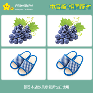 相同动物 水果配对卡片 自闭症 孤独症 儿童语言发育迟缓 ABA教具