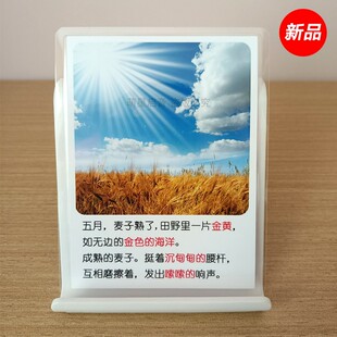 包邮 自闭症 高级形容词卡片 语言发育迟缓 孤独症训练理解康复