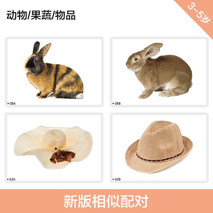 相似配对认知教学卡片 自闭症/唐氏发育迟缓 儿童aba康复训练教具