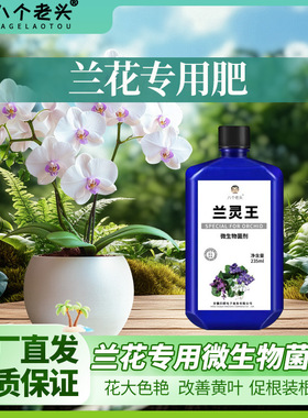 厂家供应八个老头兰灵王兰花专用营养液肥料EM菌君子兰科蝴蝶兰墨