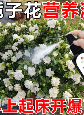 厂家供应八个老头栀子花专用营养液防黄叶烂根掉花苞催开花爆芽