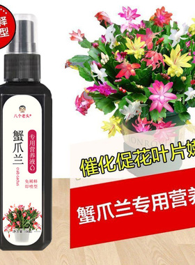 蟹爪兰营养液专用肥急救发焉软烂失绿烂根不开花通用型促开花肥料