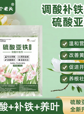 厂家直销硫酸亚铁园艺缓释肥控释肥颗粒肥调节土壤酸碱度100g