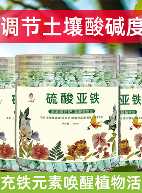 厂家直销硫酸亚铁园艺缓释肥控释肥颗粒肥调节土壤酸碱度360g绿植