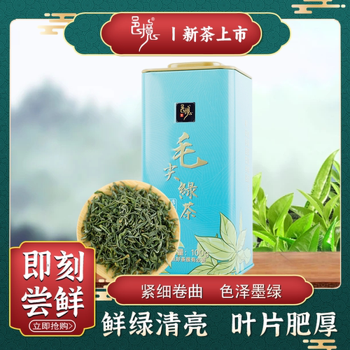 邑境毛尖绿茶雨前嫩芽