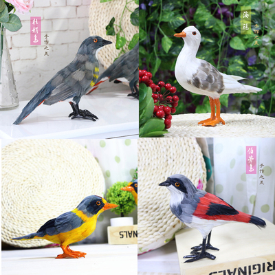 摆件鸟类工艺品动物标本
