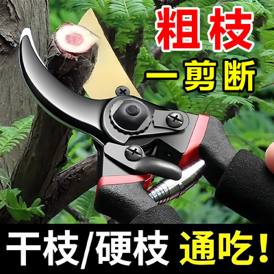 锋利剪SK5钢强力园艺剪省力修枝剪园林花木果树嫁接剪专用工具