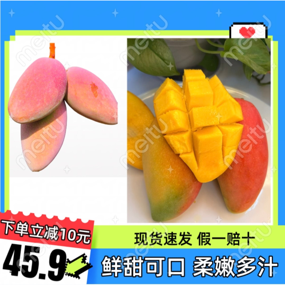 攀枝花 贵妃芒 新鲜水果 产地直销 现摘现发 精品大果   感恩回馈