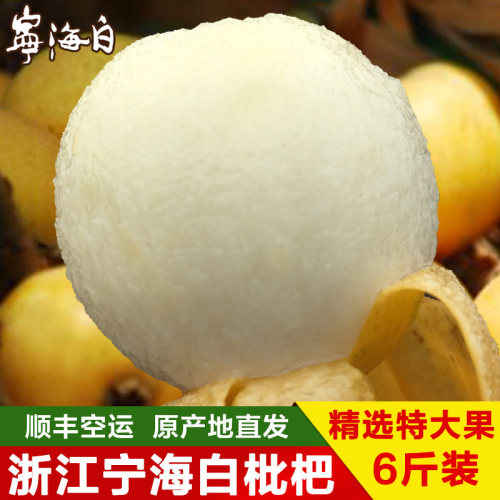 宁海白6斤枇杷现摘现发时令水果
