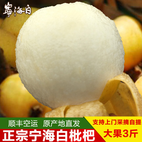 宁海白超甜白玉枇杷3斤顺丰空运