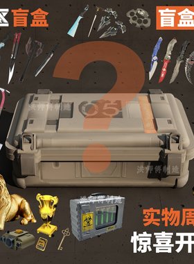 暗区突围周边盲盒礼物干员盒子cos道具手办装备游戏舔包玩具