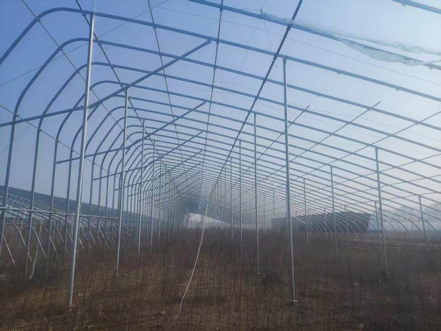 1月29日日照阳光温室大棚（包含1号、2号钢结构大棚整体，3号、4号钢结构大棚基础设施部分）网络拍卖公告