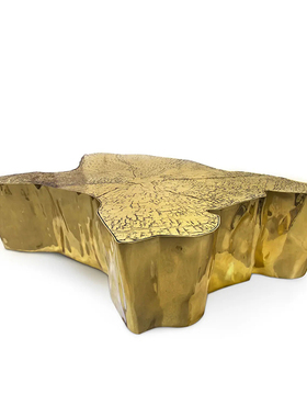 Eden Gold Center Table不锈钢蚀刻面古铜色客厅异形树年轮矮茶几