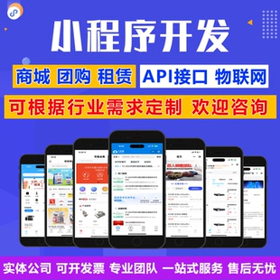 商城租赁分销团购物业AI物联网API公众号小程序app定制软件开发